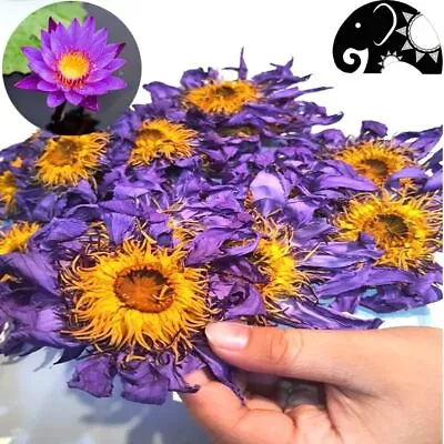 Blue Lotus Nymphaea Caerulea Hand Picked Sun Dried Flowers Pure Herbal Organic • $333.72
