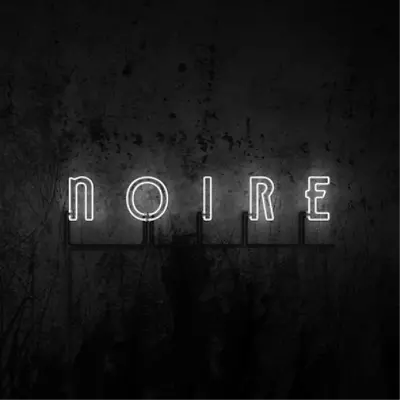 VNV Nation Noire (Vinyl) 12  Album • $47.16