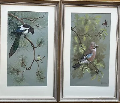 £225 • Buy MARJORIE BLAMEY, MBE,Pair Of Original Watercolours Of Magpie And Jay 
