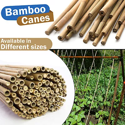 Garden Canes Bamboo Sticks Plant Support Heavy Duty Strong Quality Canes Stakes  • £11.73