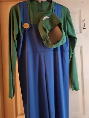 Super Mario Luigi Adult Men Complete Fancy Dress Outfit Costume Size XXL  New • £7.99