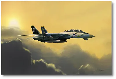 Golden Hour Hop By Peter Chilelli - F-14 Tomcat - Aviation Art Print • $99.50