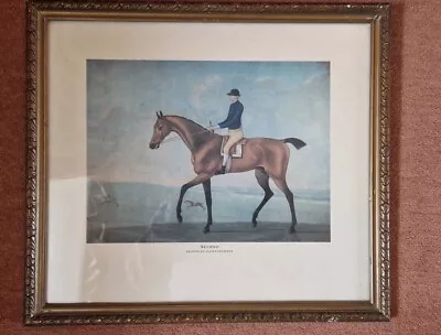 A Framed Print By James Seymour A Portrait Of The Racehorse “Second”. • £10