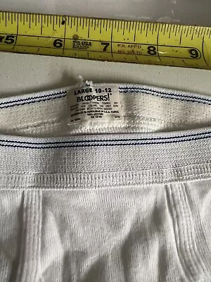 $14 • Buy Vintage 12 Double Blue Line Bloopers Brief Underwear 1990’s Two