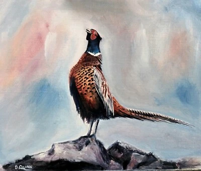 PHEASANT ORIGINAL OIL PAINTING 12 X 10 Inches By SIMON QUINN • £15