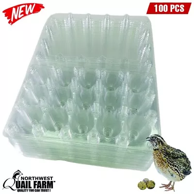 Jumbo Quail Egg Cartons 15 Cell (3x5) 100pcs - Secure Snap Close Fast Shipping • $41.95