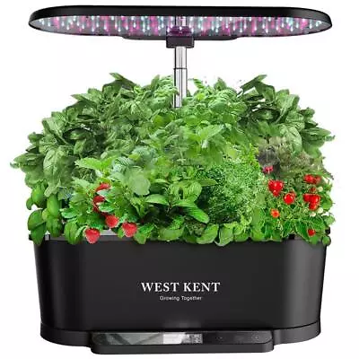 West Kent 15 Pod Indoor Smart Garden Hydroponic Growing System - Black • £144.99
