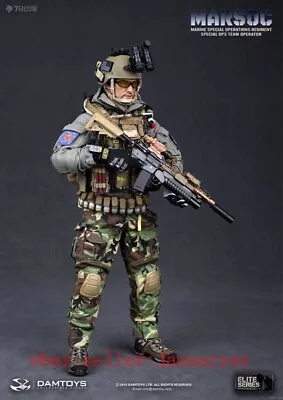 Perfect Damtoys 78007 1/6 Marsoc Special Ops Team Operator Action Figure  • $322.99