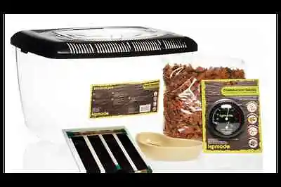 £134.98 • Buy Spider Starter Kit Tarantula Basic Keeping Heatmat Substrate Hide Terrarium