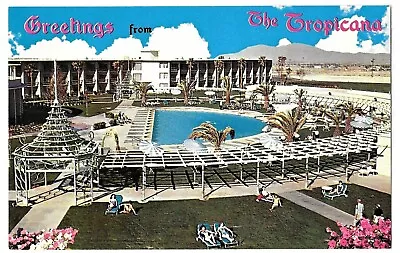 The Tropicana Las Vegas Hotel Casino Swimming Pool View 1960s Greetings Postcard • $3.47