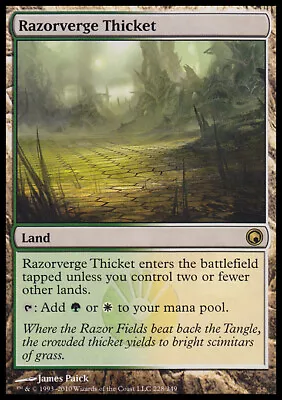 MTG Magic The Gathering Razorverge Thicket (228/259) Scars Of Mirrodin NM • $3.95