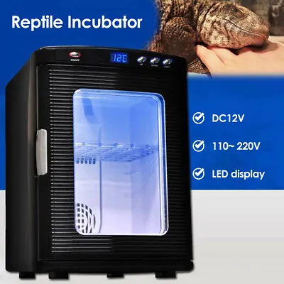 $403.32 • Buy Reptile Incubator Box Chameleon Lizard Turtle Tortoise Snake Thermostat Box AU