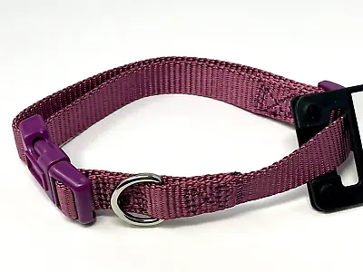 $5.50 • Buy Zack & Zoey Dog Puppy Collar Nylon Adjustable Plum Purple 6-10  XS 3/8  Wide