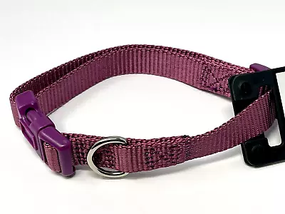 Zack & Zoey Dog Puppy Collar Nylon Adjustable Plum Purple 6-10  XS 3/8  Wide • $5.50