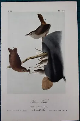 House Wren Family Audubon 2nd Edition 1850's Hand Colored  Litho J.t.bowen 120 • $79.95