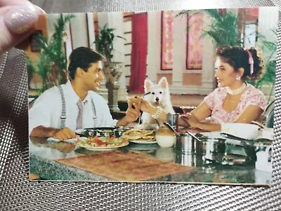 Bollywood Actors:  Madhuri Dixit  Salman Khan Rare Post Cards India • $10