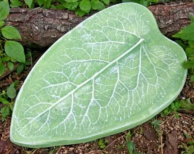 Leaf Stepping Stone Mold  15  X 9  X 1.25  Plaster Concrete Reusable Mould • $0.99