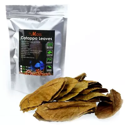 Catappa Leaves - Indian Almond IAL Medium Catappa 10-15cm For Betta Fish Shrimps • $25.10