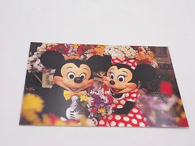 Walt Disney World Mickey & Minnie Mouse Flowers Main Street USA Postcard A1 • £2.89