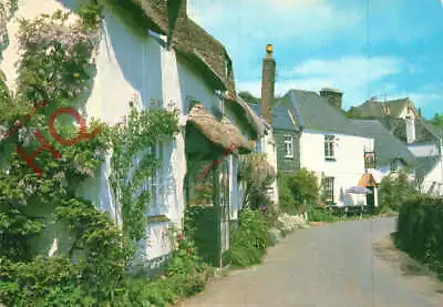Picture Postcard:;Cottages At Stokenham [Salmon] 2-49-09-09 • £3.49