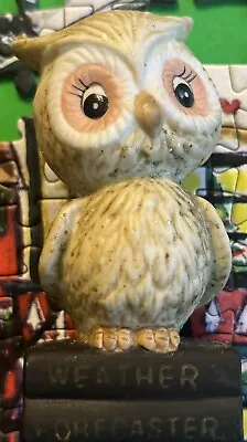 Vtg 1975 Enesco Weather Forecaster Glittery Owl Figurine • $15
