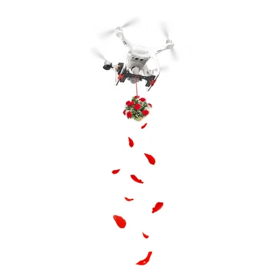 $84.98 • Buy RC Remote Drone  Device Accessories For DJI Phantom 4 Spare Parts