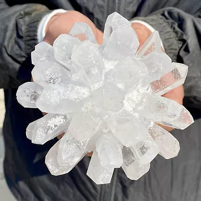 2.13LB New Find White Phantom Quartz Crystal Cluster Mineral Specimen Healing • $9.50