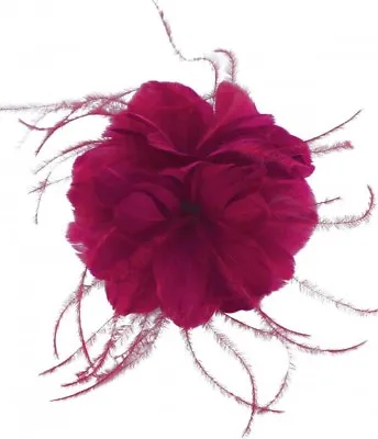 Failsworth Millinery Feather Fascinator • £19.99