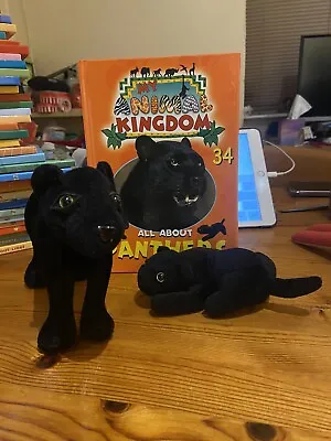 My Animal Kingdom: All About Panthers 2 Toys Hard Book Inc. • £7