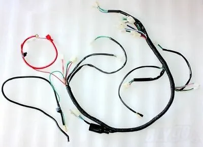 Engine DC Wiring Harness Wiring Loom 200cc 250cc PIT Trail Dirt Quad Bike Buggy • $25.14