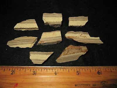 Eocene FLORISSANT Volcanic Ash Bed Varves Slice Super Stratigraphy Type 3 Small • $2.49