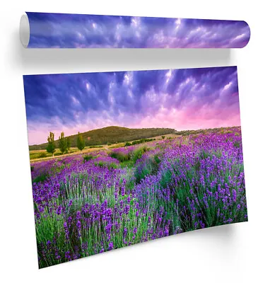 Summer Lavender Field Sunset Pink FRAMED ART PRINT Picture Poster Artwork • £12.99