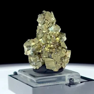 PYRITE: Borieva Mine Madan Bulgaria - Iridescent Pyrite Cluster - 360 Video • $35