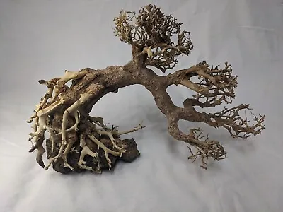 Natural Bonsai Driftwood Aquarium Tree • $52