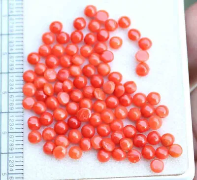 14.30 Ct Natural Italian Red Coral Round Cabochon Loose AAA Quality Gemstone Lot • $17.85