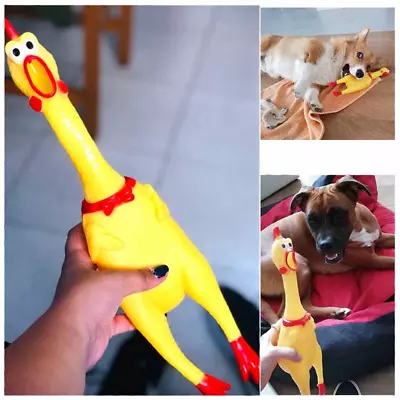 Screaming Rubber Chicken Pet Dogs Puppy Toy Gift Shrilling Squeak Chew Sound Fun • $6.99