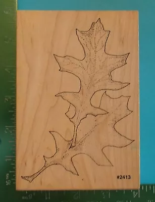 Large OAK LEAVES Tree Rubber Stamp By CoMotion • $5.16