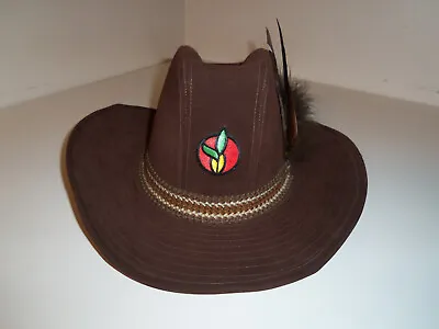 Vintage RARE Golden Harvest Western Cowboy Hat Embroidered BROWN W/Band Feather • $99.99