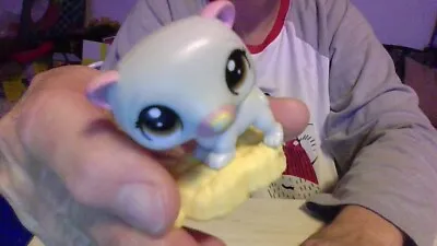 Littlest Pet Shop LPS Auth 2010 McDonald's Happy Meal Ferret/Possum Head Bobs • $2.29