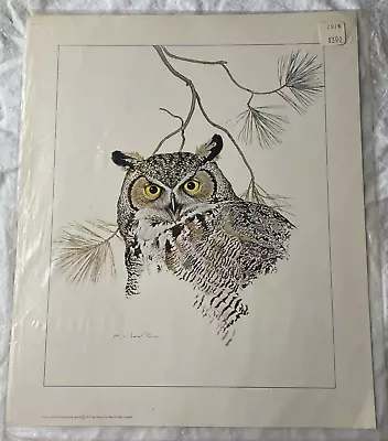 Owl Print C1973 Martin Glen Loates Sealed In Original Packaging 10  X 12  • $18