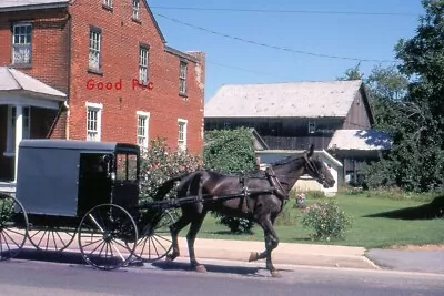 #SY - Vintage 35mm Slide Photo-  Amish Horse And Buggy- 1976 • $5.50