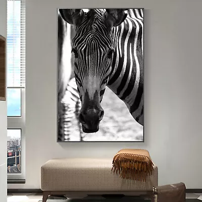 Art Silk Canvas Poster Zebra Black White Animal Paint Wall Print Decor S789 • $6.29