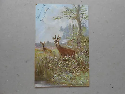 CPA Artist Muller Jun Deer Series 844 - 1902 • $5.33