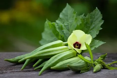 25 Okra Clemson Spineless Seeds • £2.39