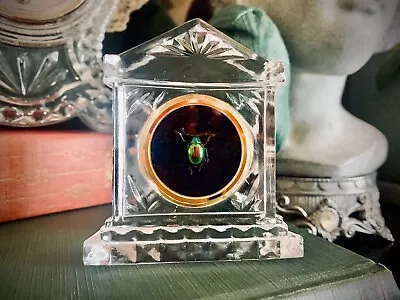 Real Miniature Rainbow Beetle Vintage Crystal Clock Display • $75