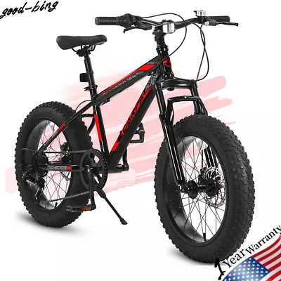 20  Kids Bike 4  Inch Fat Tire 7 Speed Mountain Bike Bicycles For Teenager Kids • $269