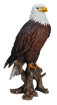 Large Real Life American Bald Eagle | Highly Detailed Garden Decoration • £179.99