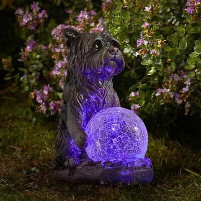 Mystic Dog Light Up Garden Ornament Solar Powered Gazing Ball Multicoloured LED • £12.95