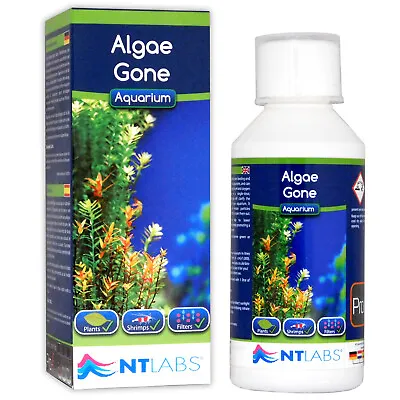 £11.99 • Buy NT Labs Algae Gone 250ml Green Water Cloudy Treatment Aquarium Fish Tank