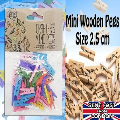 Mini Coloured Pegs Natural Craft Hanging Small Photo Peg Wedding Photo Clips • £3.85